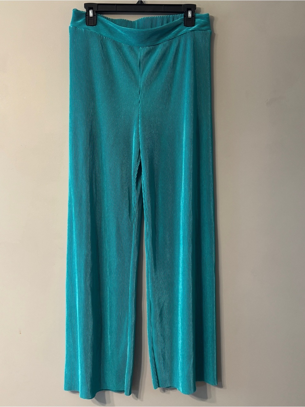 Ro & De | Teal Pleated Wide Leg Pants | L